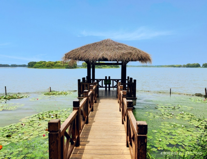 Nơi nghỉ chân cho những vãng khách thưởng sen