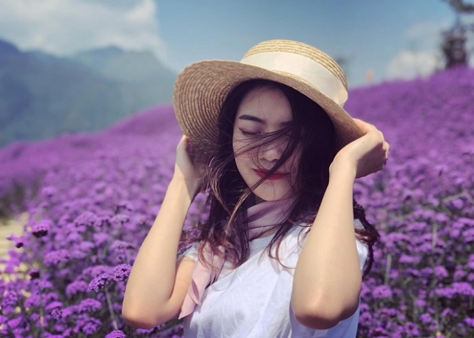 Đồi oải hương Sapa mang đến vẻ đẹp đầy khác lạ cho vùng trời Tây Bắc