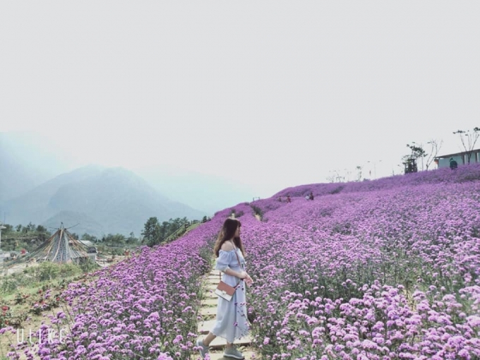 Ảnh sưu tầm
