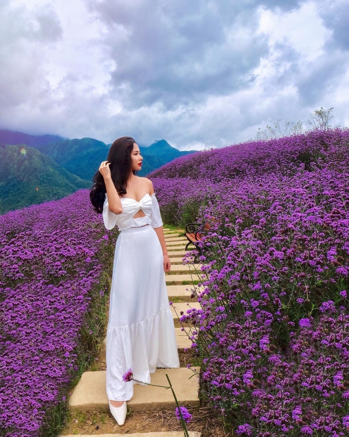 Ảnh sưu tầm