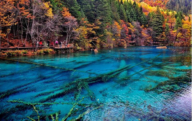 Hồ Ngũ Hoa là niềm tự hào của thung lũng Jiuzhaigou (Cửu Trại Câu), Tứ Xuyên, Trung Quốc
