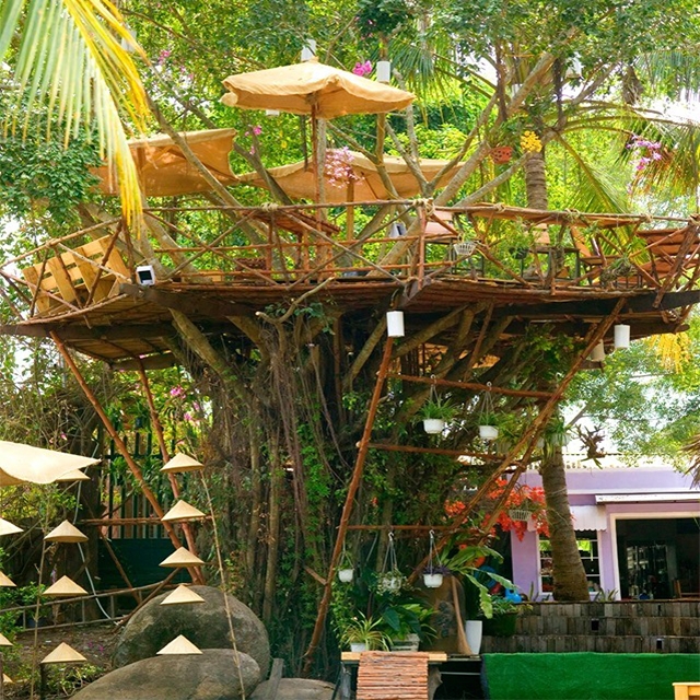 Quán cafe trên cây