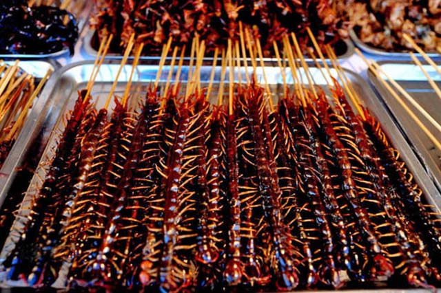 Rết nướng, món ăn