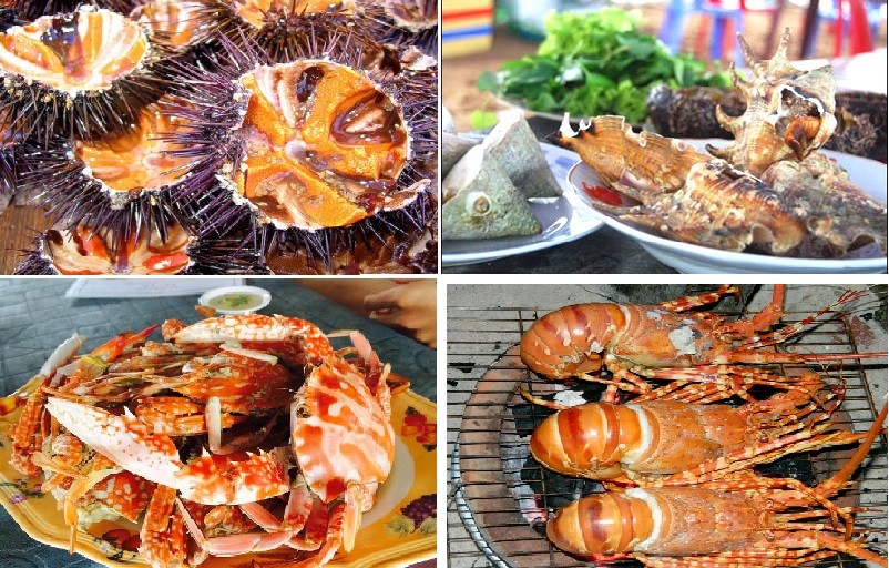 Vĩnh Hy có rất nhiều loại cho bạn chọn lựa như: cá, mực, các loại ốc, tôm, cua, ghẹ,…