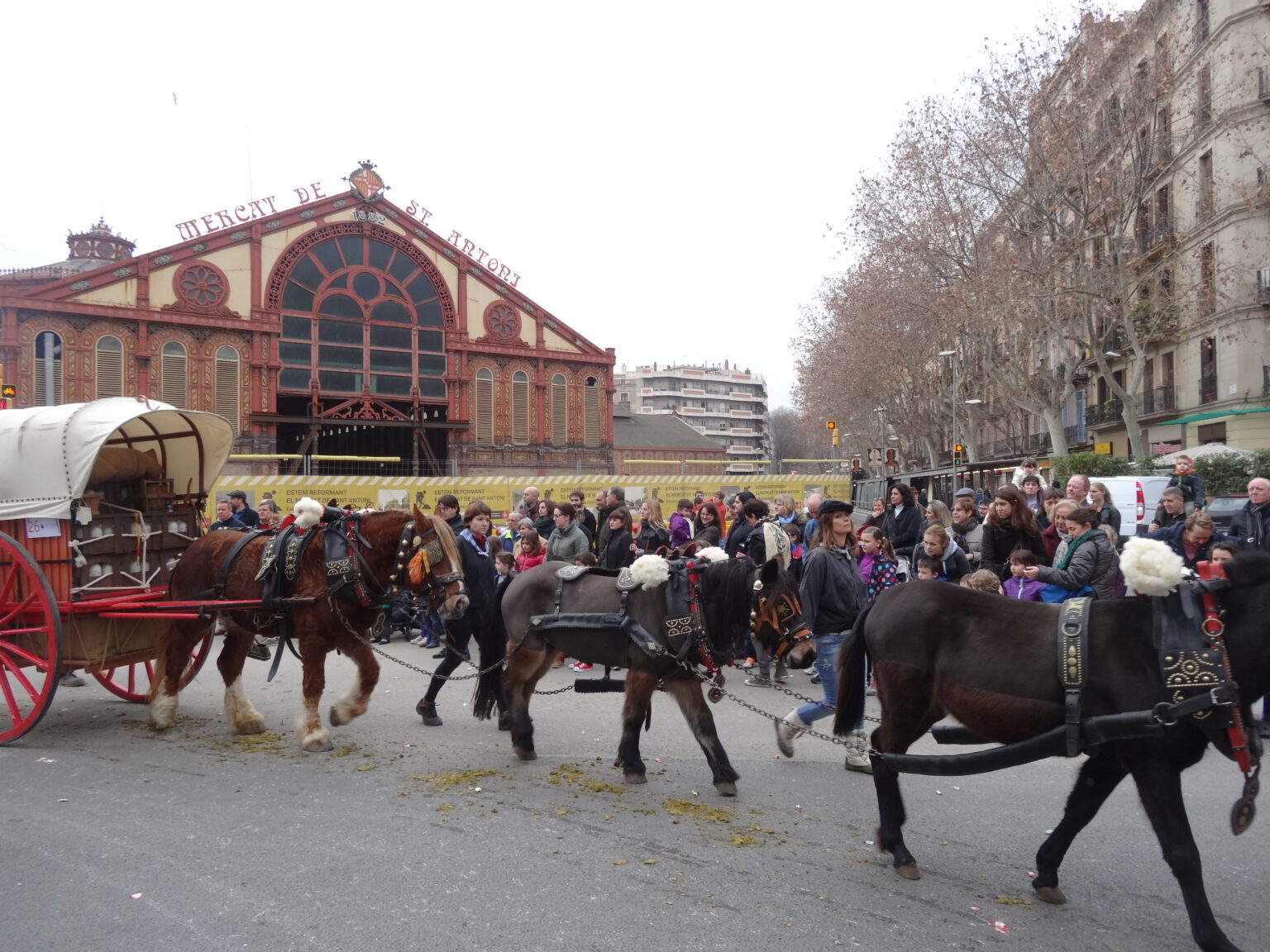 Tham dự Festa Dels Tres Tombs vào ngày 17 tháng 1