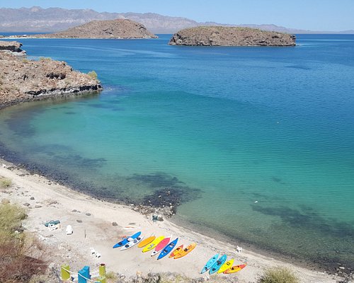 Mulege là một ốc đảo kỳ diệu hiếm giữa một sa mạc khô cằn rộng lớn