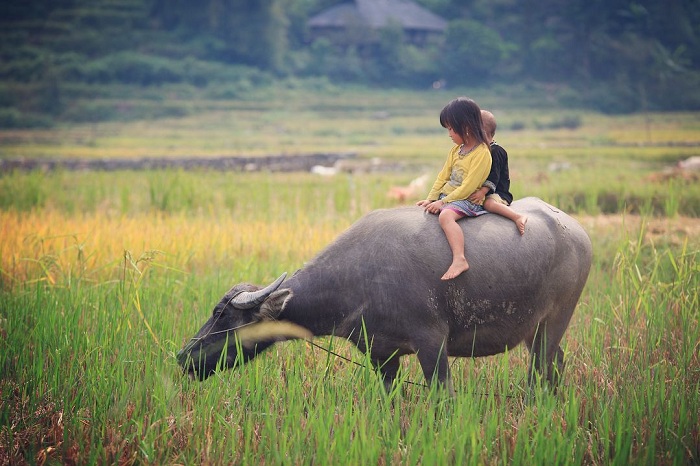 Một khoảnh khắc đẹp ở bản Lìm Thái. Ảnh: @manhphi.87