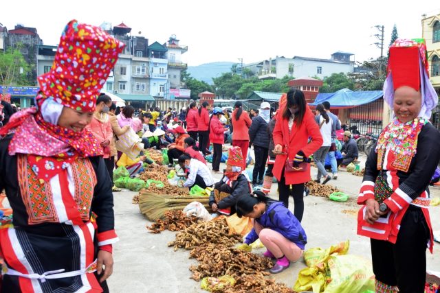 chophienbinhlieu