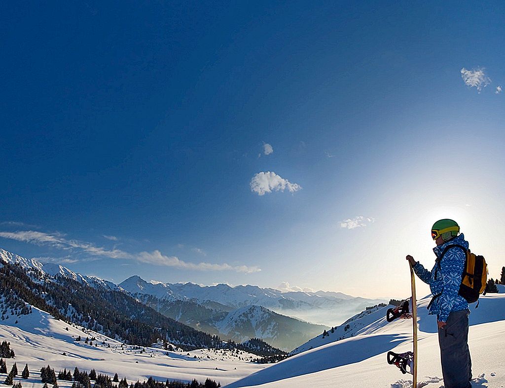grindelwald_mini-623727a5905a