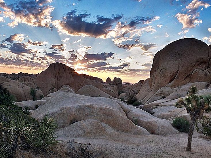 Đường mòn trên núi Ryan tại Vườn quốc gia Joshua Tree