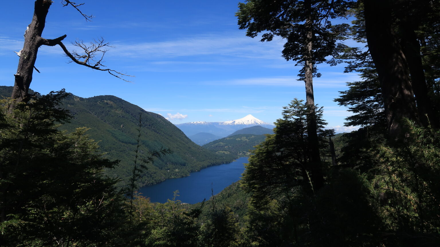 Quang cảnh từ Vườn quốc gia Huerquehue, Chile