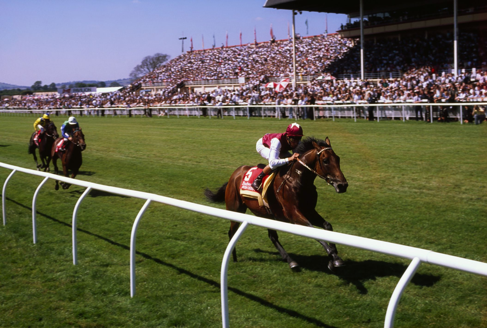 Trường đua ngựa Leopardstown