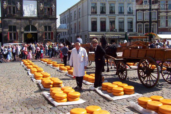 Các loại pho mát của Hà Lan nổi tiếng trên thế giới là Gouda và Edam