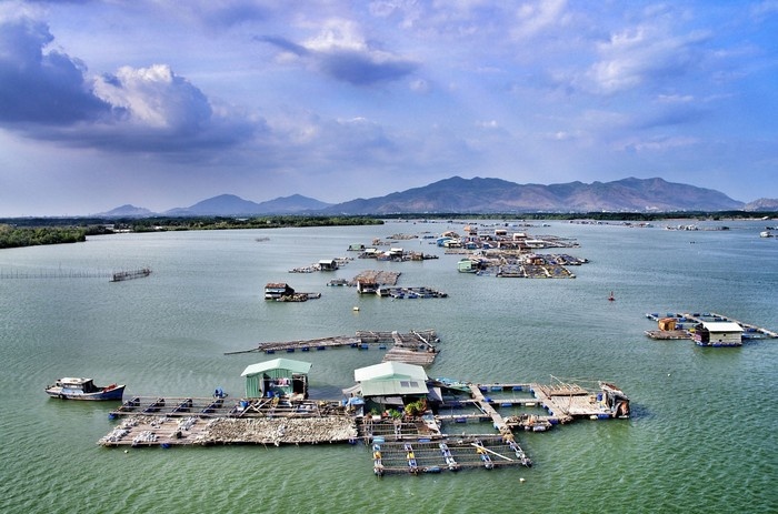Làng Bè Long Sơn cũng là một địa điểm được du khách yêu thích khi đến đảo Long Sơn