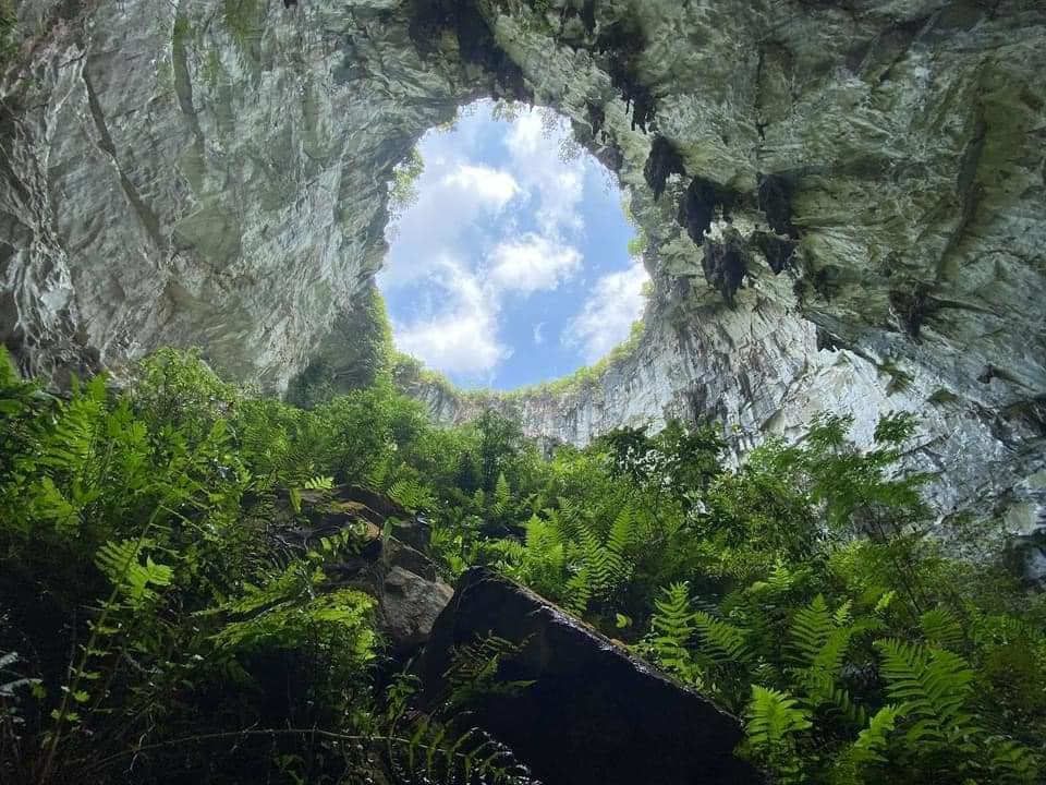 ho-sut-meo-vac-ha-giang-5