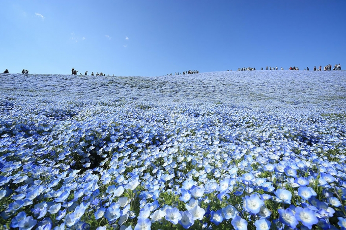 Ảnh: Syota Takahashi