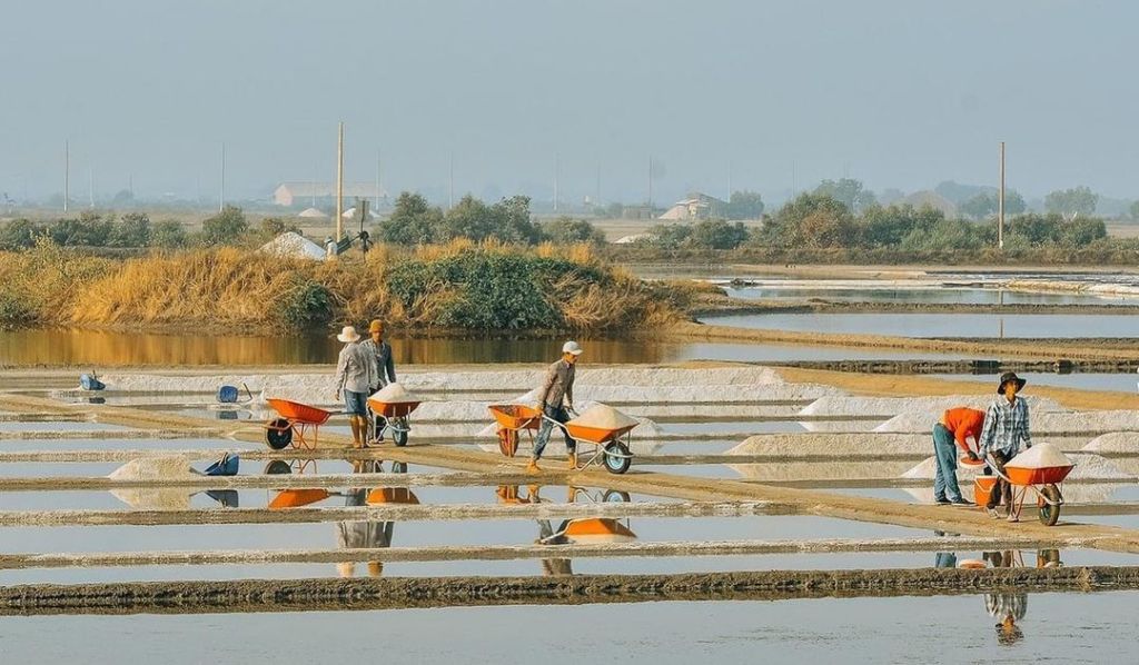 Ruộng muối Long Sơn