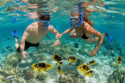 Đặc biệt là du khách tới từ châu Âu với thói quen ưa khám phá Ảnh: batdatnhatrang
