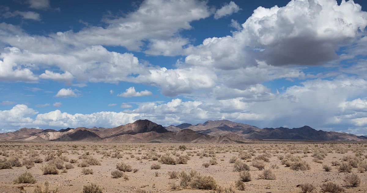 Đi bộ trong sa mạc khô cằn của Nevada là một trong những hoạt động được nhiều người yêu thích