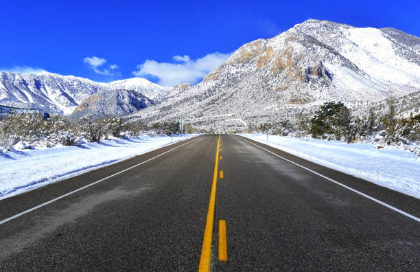 istockphoto-1133105286-612x612