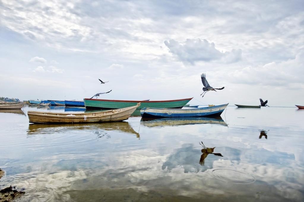 Hồ Albert, Uganda