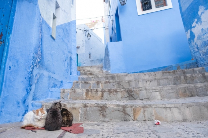 Nét bình dị trong cuộc sống thường ngày của thành phố xanh Chefchaouen