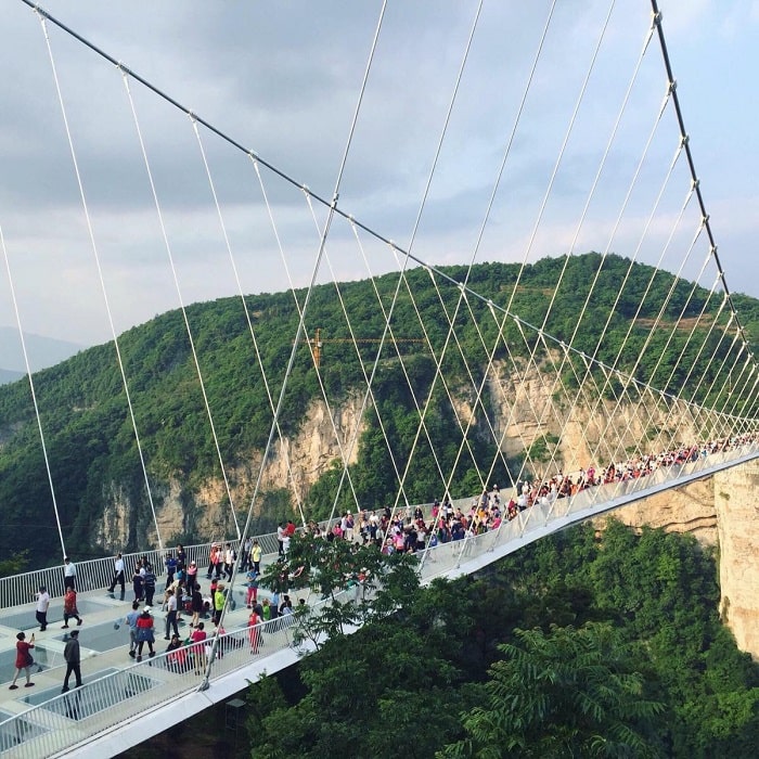 Con đường trên mây Skywalk