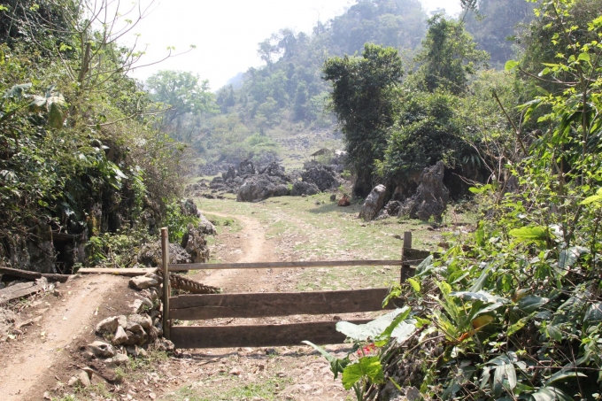 hang-tau-moc-chau-13