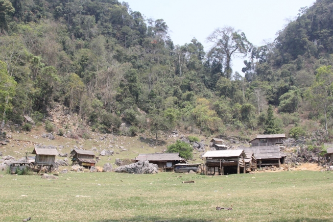 hang-tau-moc-chau-15