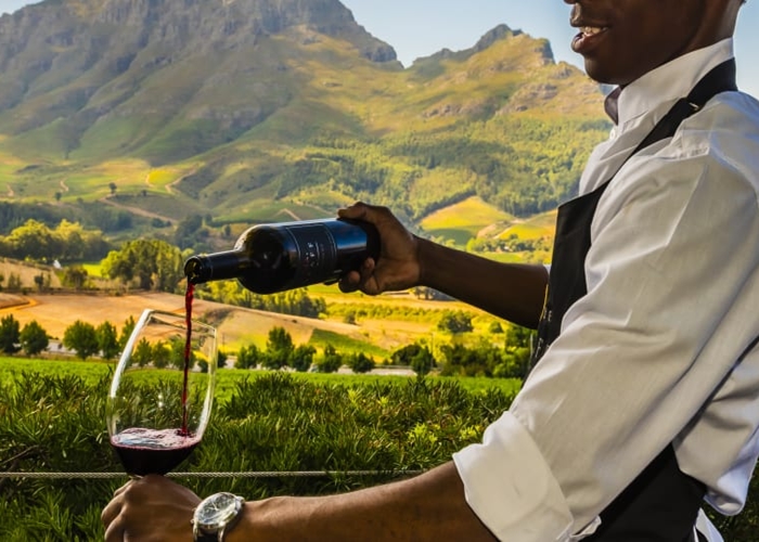Chuyến tham quan rượu vang ở Cape Town
