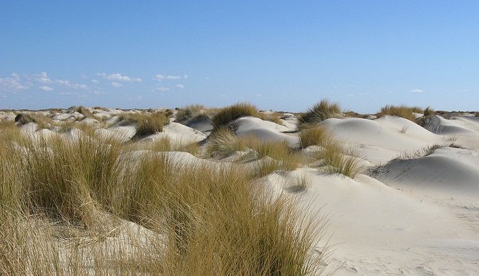 du-lich-dao-Texel-cong-vien-quoc-gia