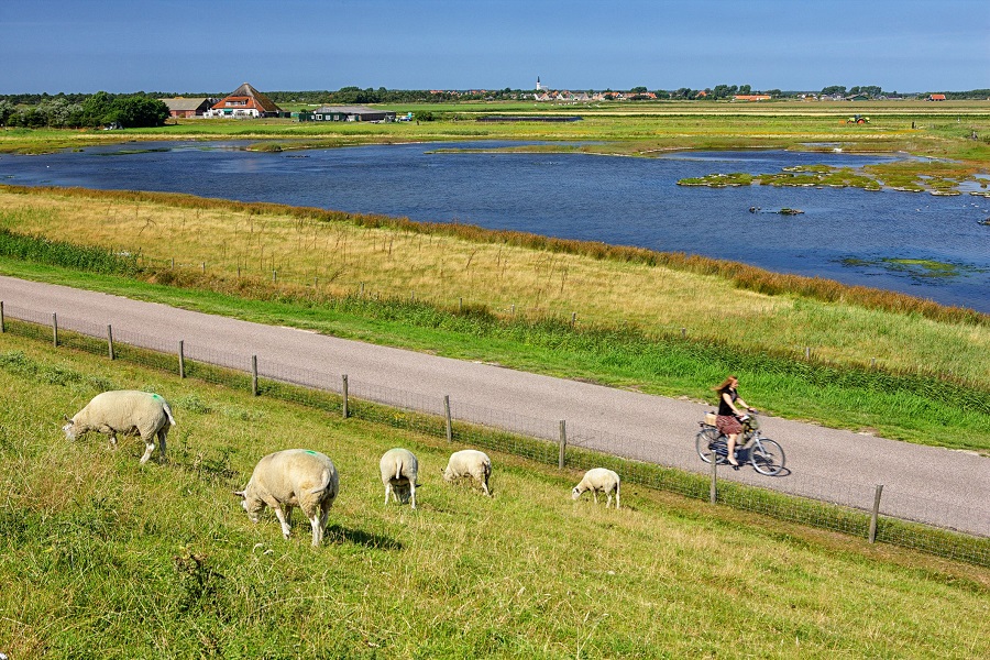 kham-pha-dao-Texel-1