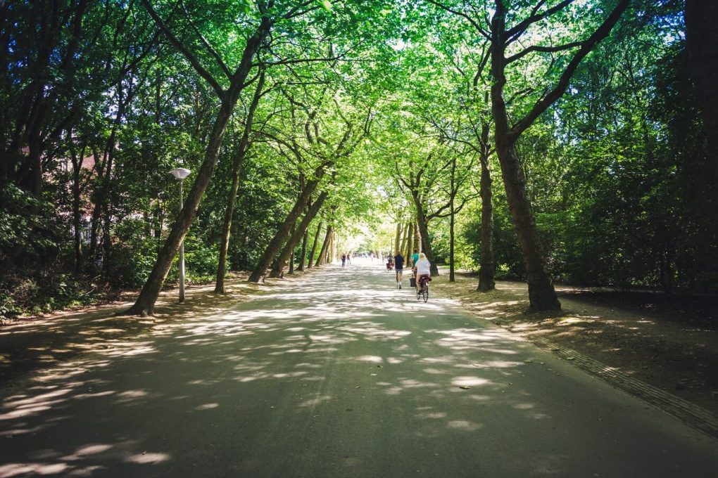 Photo-by-Hung-Tran-on-Unsplash-1020x680