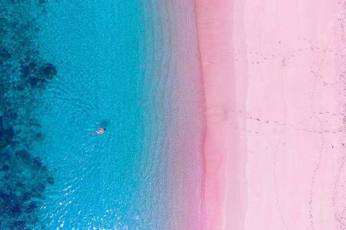 Ảnh: Raditya/Shutterstock