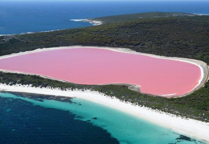 Ảnh: Matteo_iy/Shutterstock