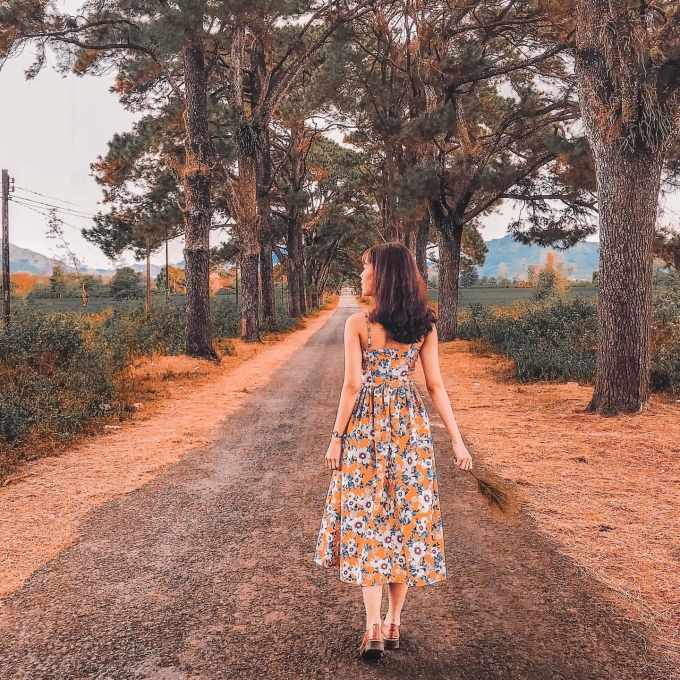 Ảnh sưu tầm