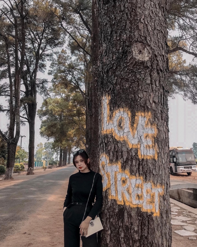 Ảnh sưu tầm
