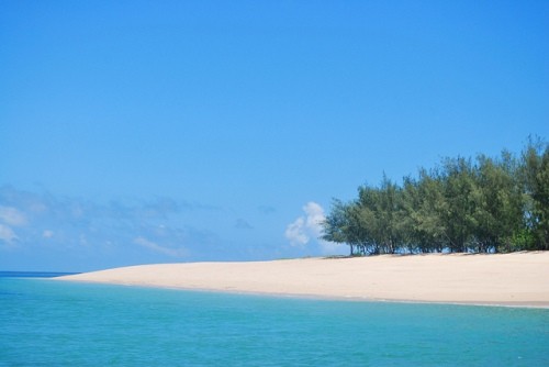 Du lịch đảo Tanzania, Tanzania