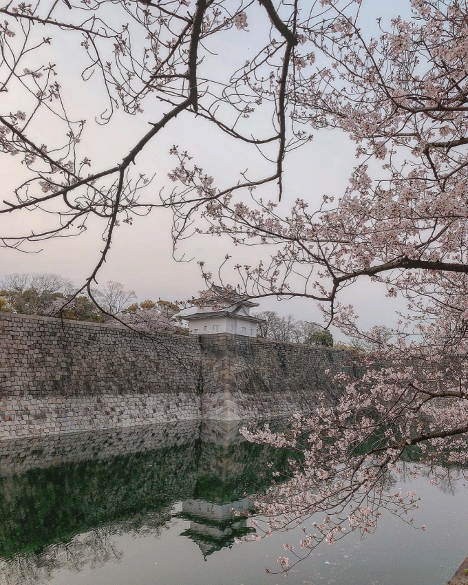 Ảnh: Du lịch Osaka