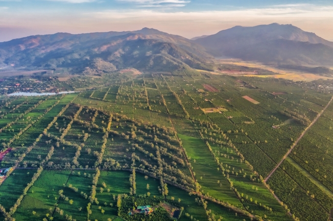 Ảnh: Nguyen Quang Ngoc Tonkin/Shutterstock