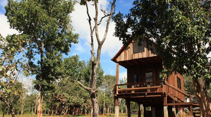 Nature Lodge