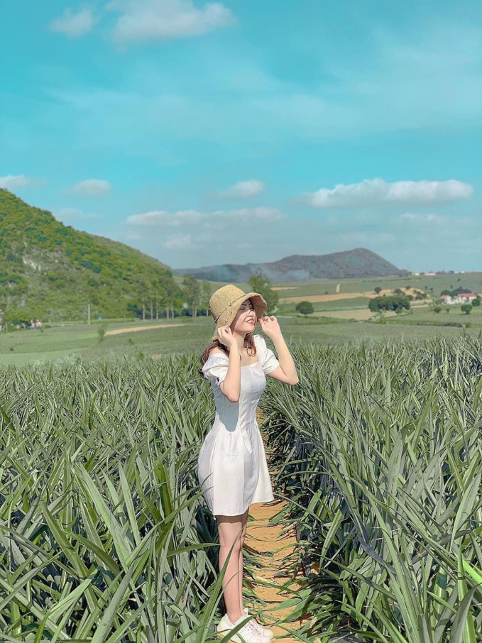 Nắng vàng ngập tràn, màu “xanh ngát xanh” giữa khung trời núi non trùng điệp tạo nên những “shoot” hình hoàn hảo