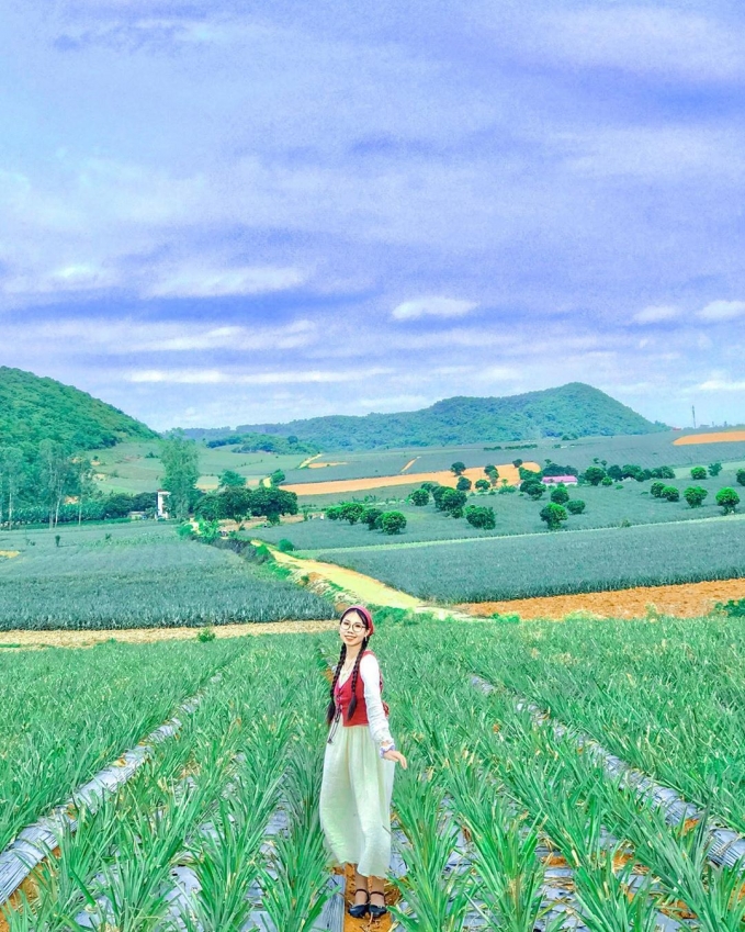Khoảng giữa tháng 4 đến tháng 7 là khi nông trại đang trong mùa vụ (Ảnh: @linhfox02)