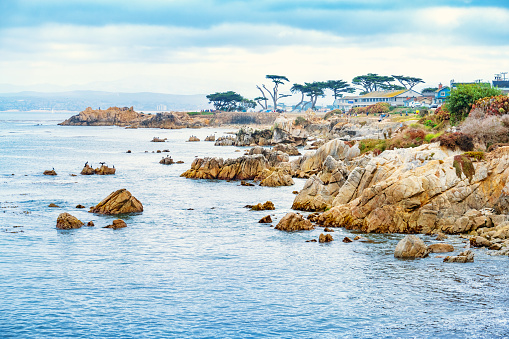 Ocean Grove là một thị trấn ven biển nhỏ ở trung tâm của bờ biển Jersey