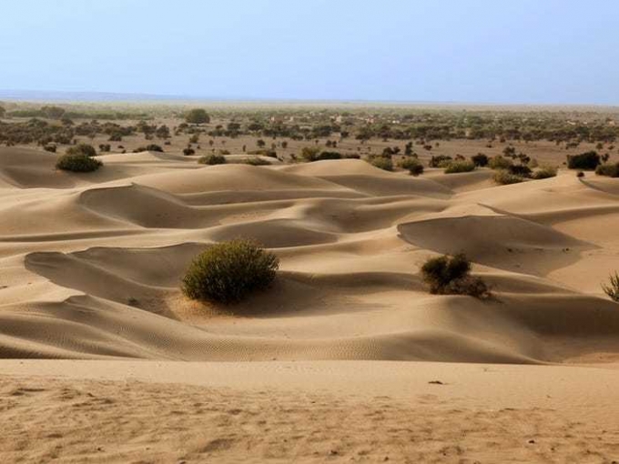 Cồn cát trên sa mạc Thar. Ảnh: OSTILL is Franck Camhi/Shutterstock
