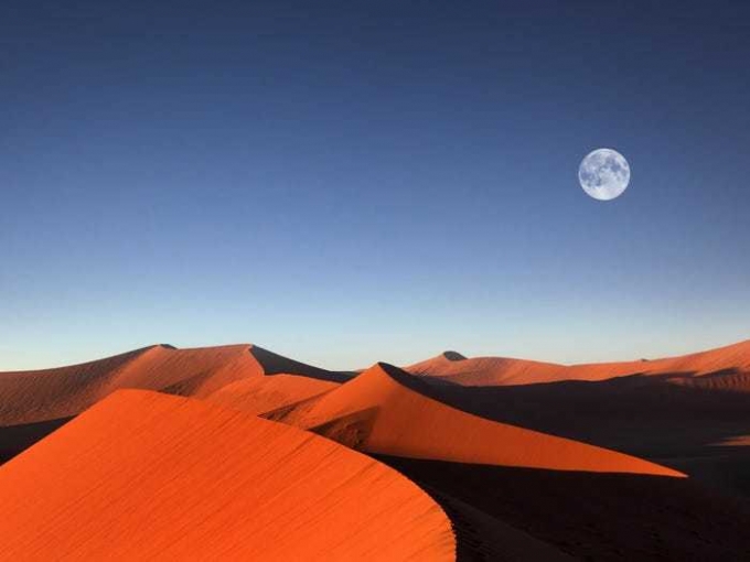 Namib là một trong những sa mạc lâu đời nhất thế giới. Ảnh: Dietmar Temps/Shutterstock