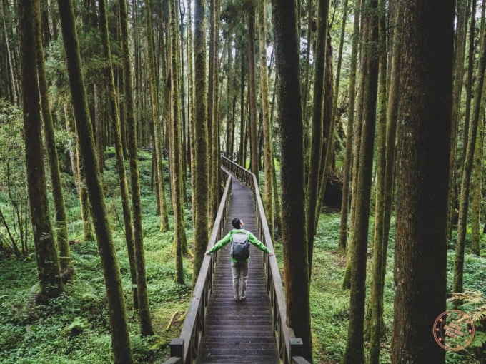 kinh-nghiem-du-lich-alishan-1