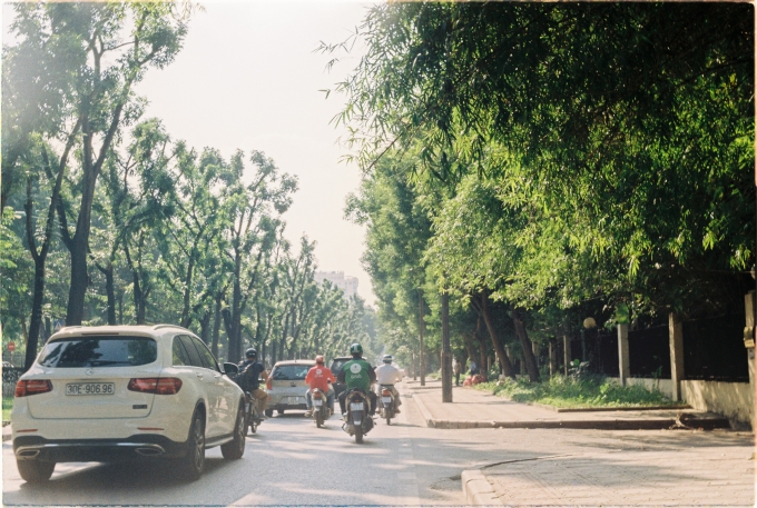Mùa hè Hà Nội. Ảnh: Linh Ha