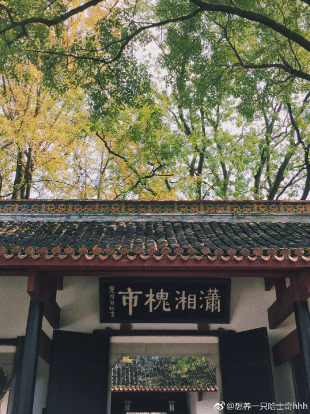 Ảnh: Internet