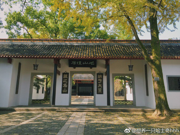 Đại học Hồ Nam mang đậm phong cách Trung Quốc xưa. Ảnh: Internet